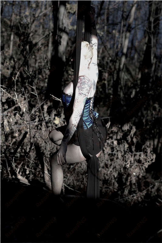 photograph of a girl seated in aerial silks tissu against - silk