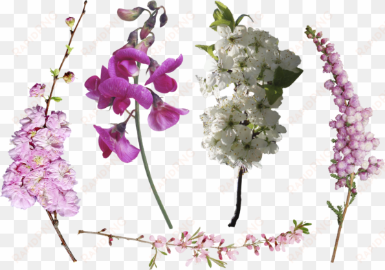 photoshop overlays, photoshop actions, photoshop tutorial, - overlay transparent flowers