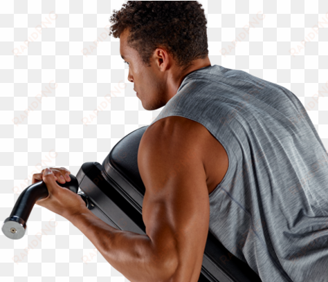 physical therapy, home fitness - biceps curl