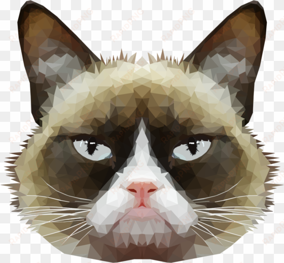 pics for > transparent tumblr grumpy cat - grumpy cat transparent background