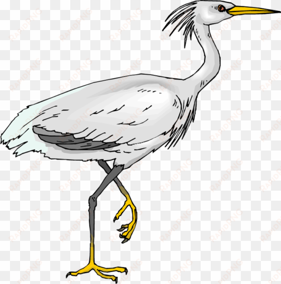 picture crane bird clipart - clipart heron