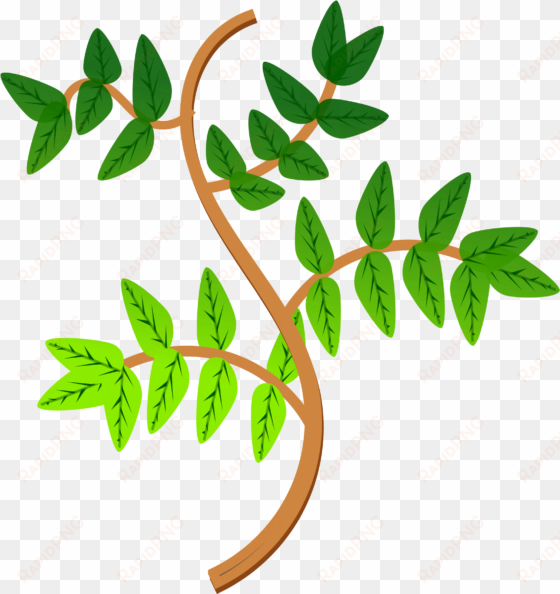 picture library library leaves and branches big image - branches of plant clipart