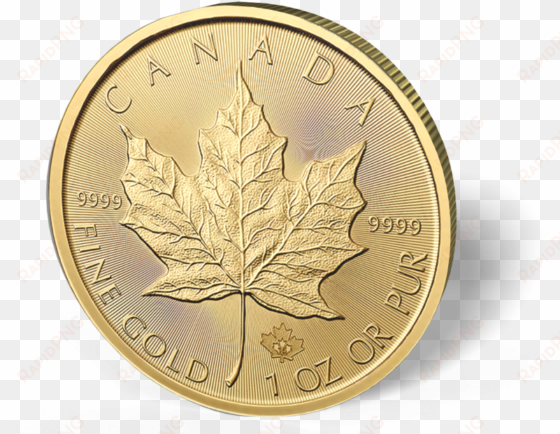 picture of 1 oz canadian gold maple leaf coins - canadian gold maple leaf