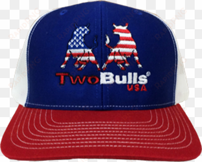 picture of twobulls mesh cap - blue