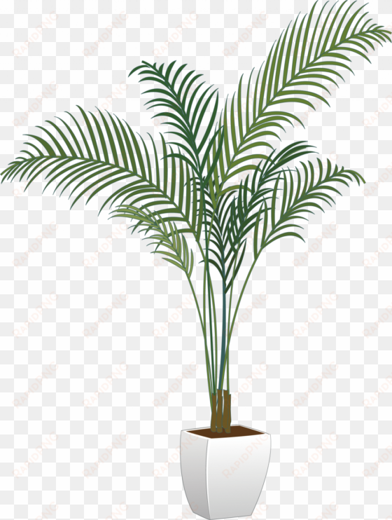 pictures of potted plants new arecaceae flowerpot houseplant - transparent potted plants png