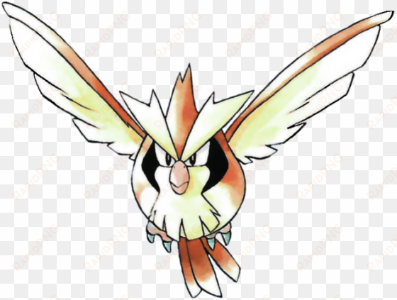 pidgey-ken - pokémon