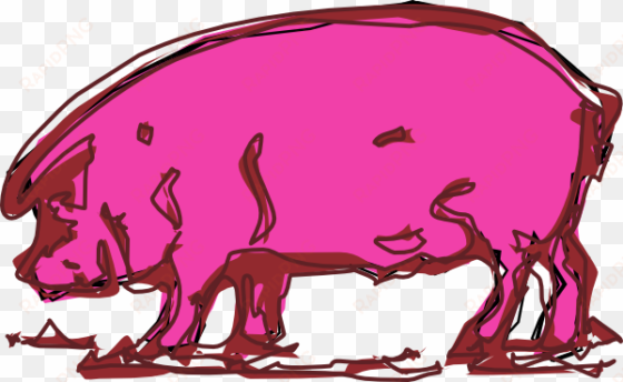pig sketch - pig