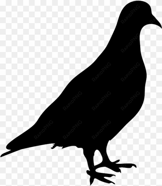 pigeon clipart pegon source - silhouette of pigeon