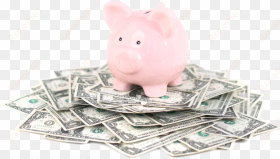 piggy bank dollars - piggy bank with money