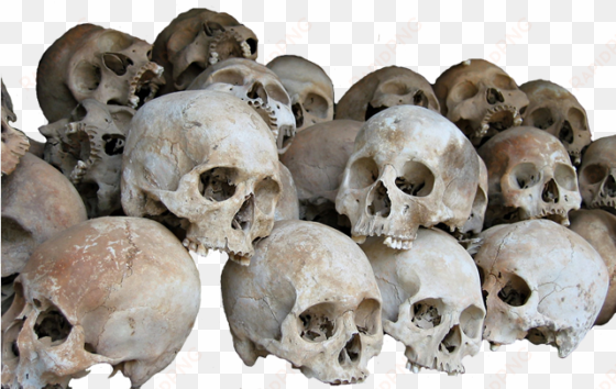 pile of skulls transparent png - skull transparent background png