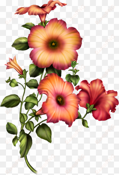 pin by dorota kusal on grafika kwiaty - flower