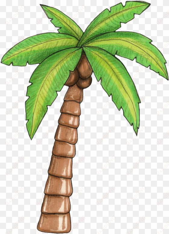 Pin By Tatimaia On Moana Baby Pinterest Moana - Palm Tree Moana transparent png image