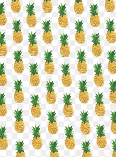 piñas tumblr - pineapple pattern