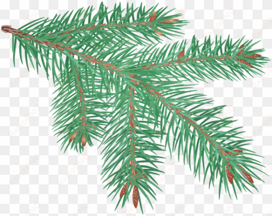 pine branch clip art image - clip art