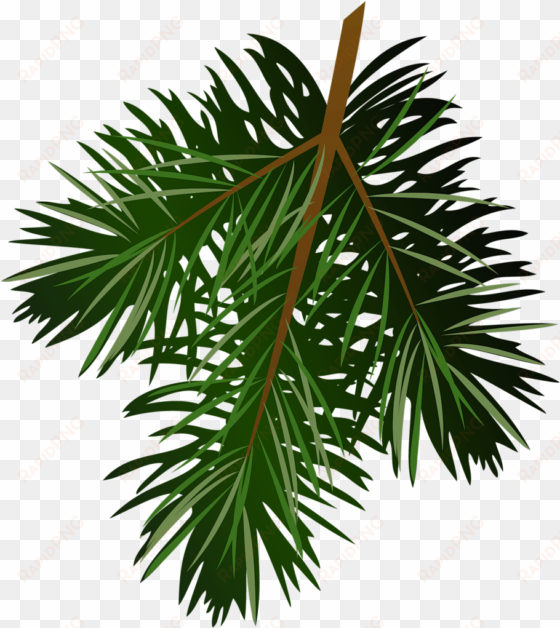 pine branch silhouette 21 - clip art transparent pine cone