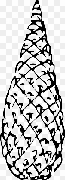 pine clipart cone - رسم الصنوبر