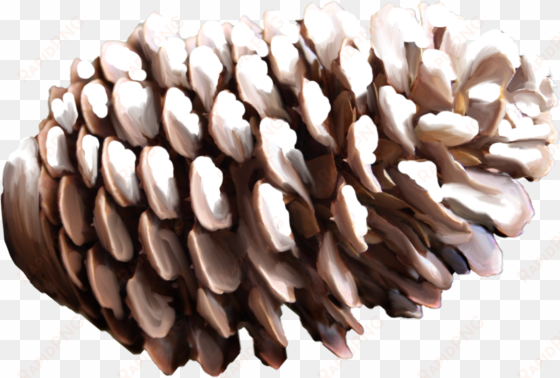 pine cone png - nut pine png