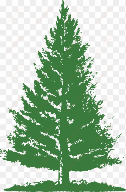 pine tree png green