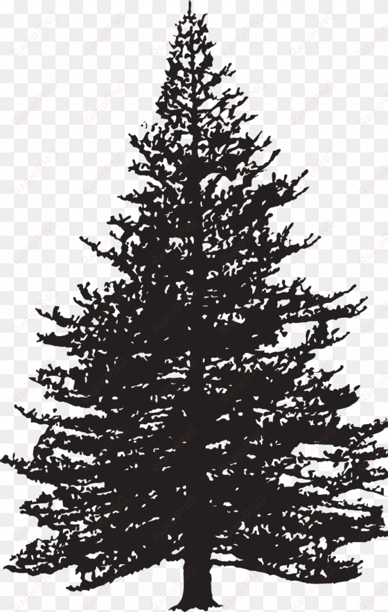 pine tree silhouette clip art image - pine tree transparent clipart black and white