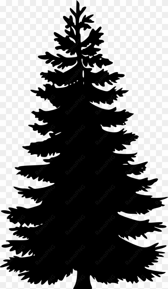 pine tree vector png