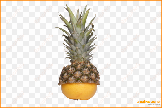 pineapple and grapefruit transparent - pineapple