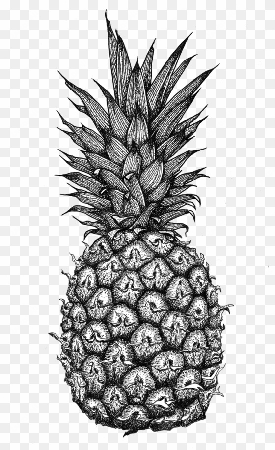 pineapple drawing pattern - mandala pineapple