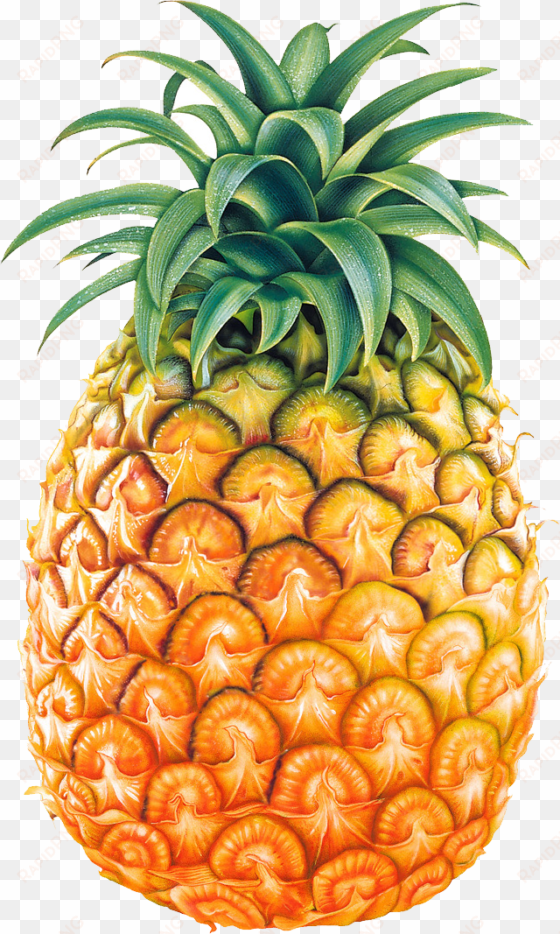 pineapple fruit png image - pineapple images png