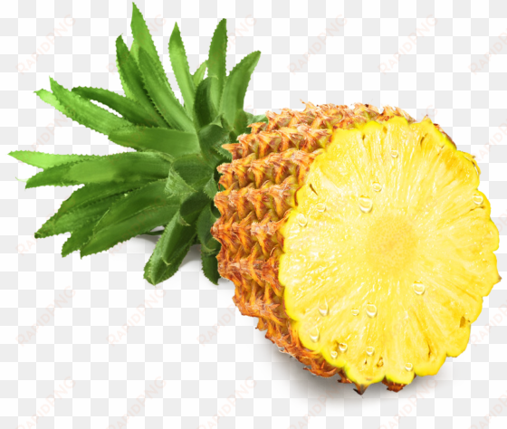 pineapple png high-quality image - pineapple png