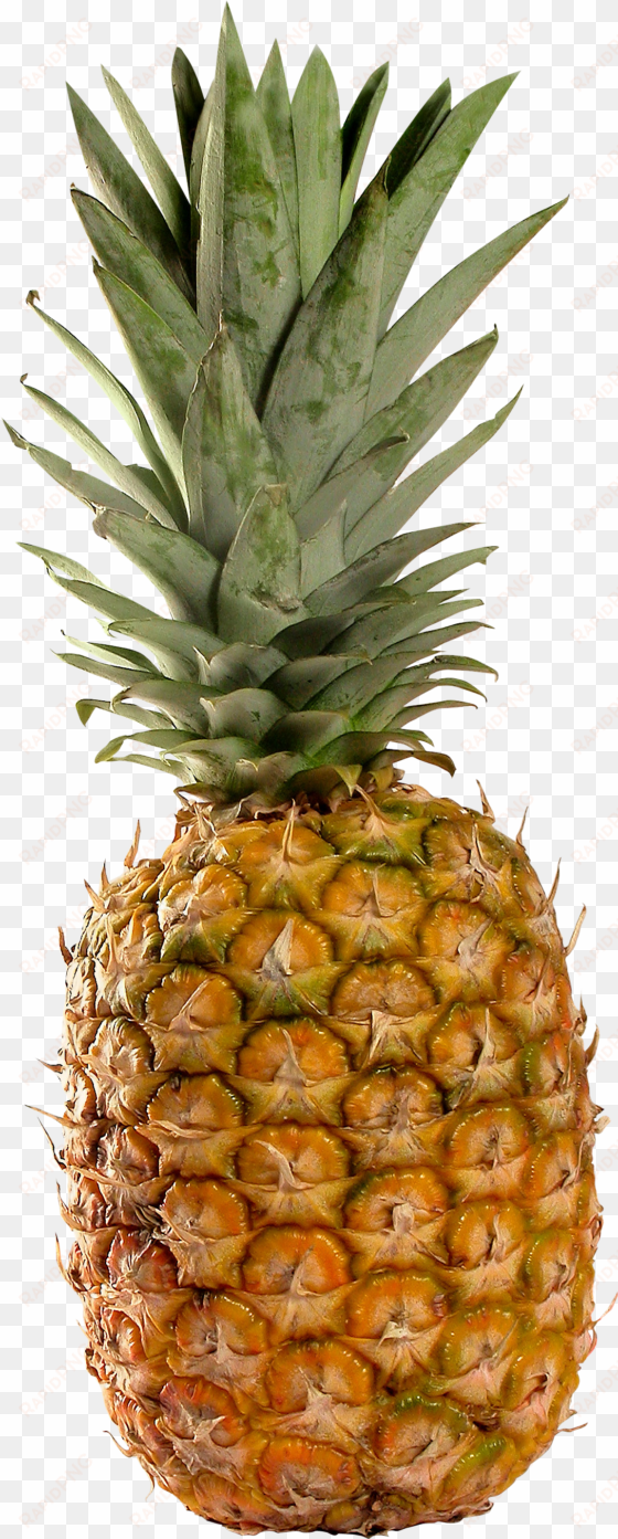 pineapple png image, free download