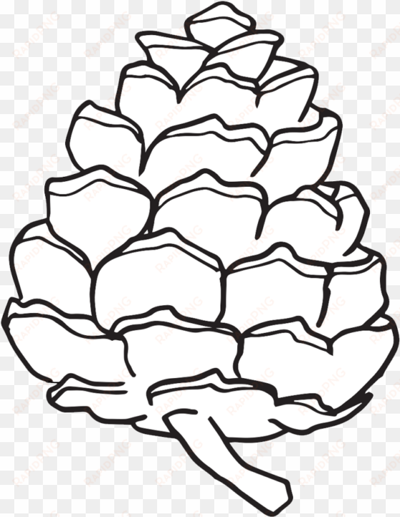 Pinecone Cliparts Cliparts Zone Pine Cone - Simple Pine Cone Drawing transparent png image