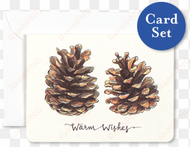 pinecones warm wishes mini card set of - pinecones transparent
