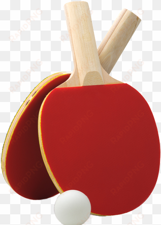 ping pong racket png image - raquetas y pelotas de ping pong