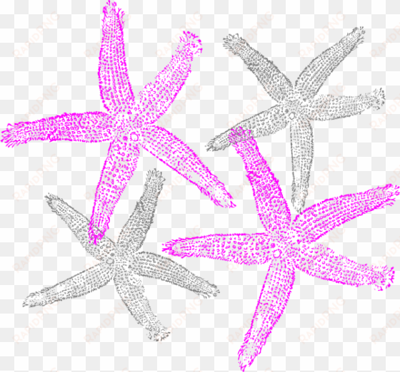 pink and navy starfish clipart - clip art starfish free