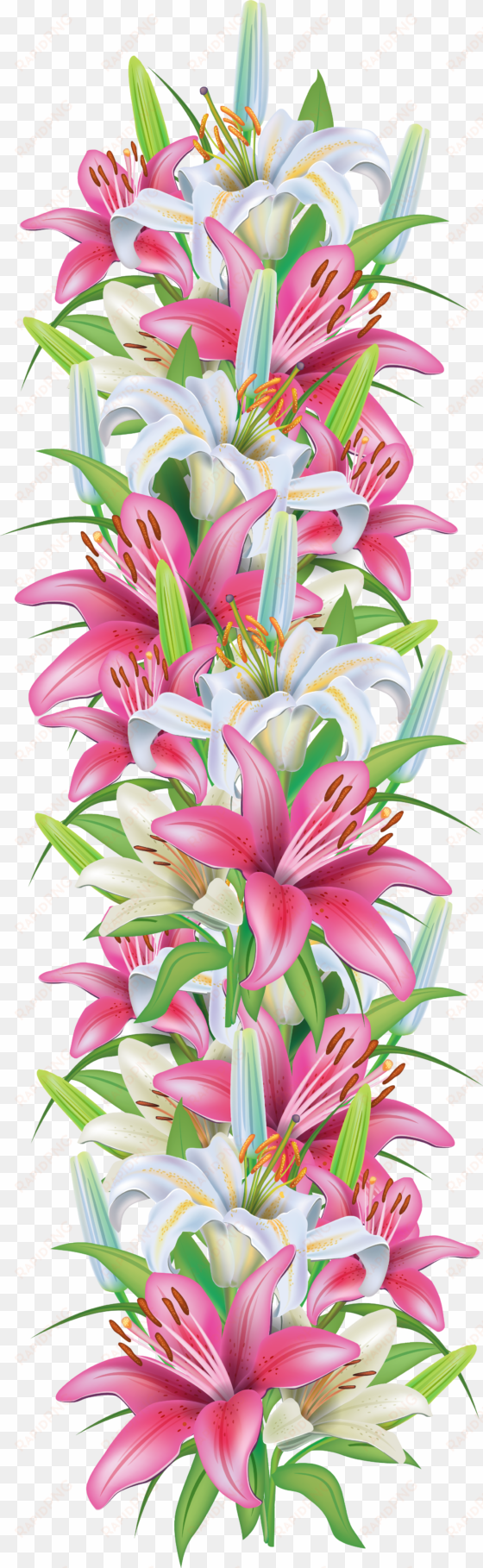 pink and white lilies decoration border png clipart - lily flower border png