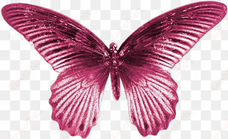 pink butterfly gif - gif