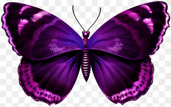 Pink Butterfly Wings Png Download - Purple Butterfly Png Transparent transparent png image