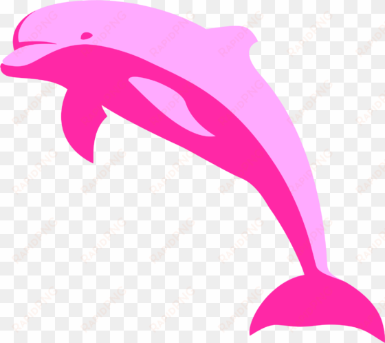 pink dolphin clip art at clker - pink dolphin png