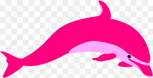 pink dolphin png clip - pink dolphin cartoon dolphin