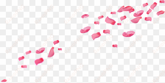 pink falling petals png element - portable network graphics