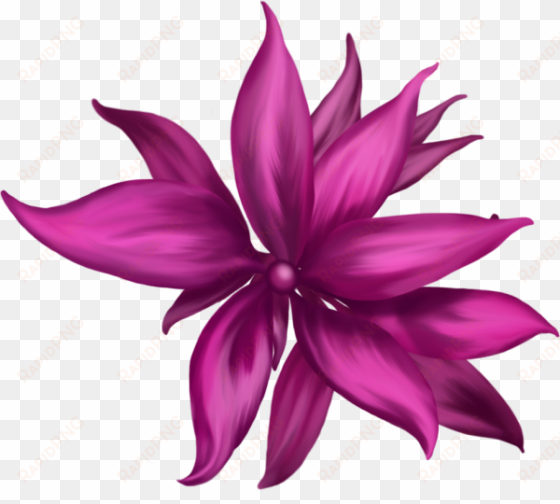 pink flower graphic - flower 2 dimension