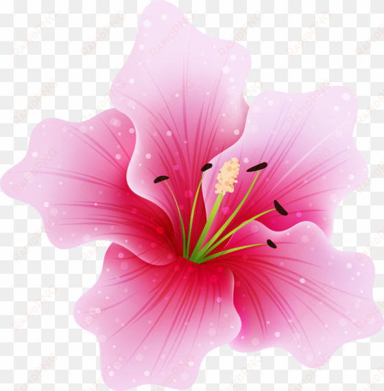 Pink Flower Png By Hanabell1 On Deviantart - Pink Flower Png transparent png image