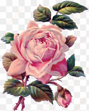 pink flowers 2017 11 202018 01 26http - vintage mothers day card roses in newsprint jumbo &