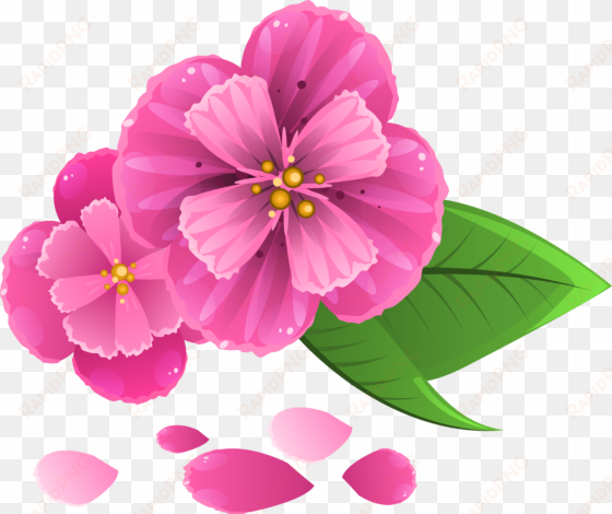 pink flowers png