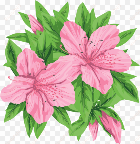 pink flowers png clip-art image - flowers png