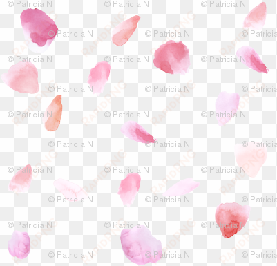 pink peach rose petals watercolor - pink rose petal transparent