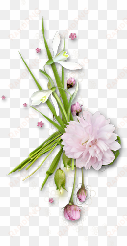 pink plant, pink backgrounds, picture frames, flowers, - flower