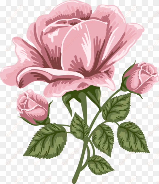 pink rose art png picture - pink rose art png