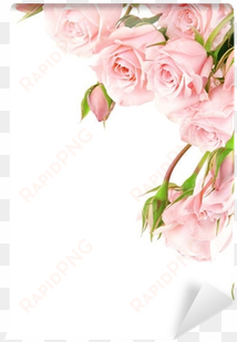 pink rose border clipart