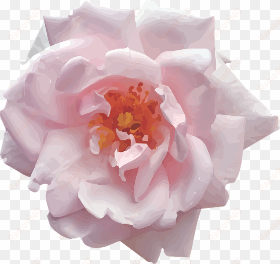 pink, rose, vector - cafepress full/queen duvet cover