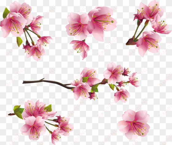 pink spring branch elements png clipart picture - sakura blossom - japanese cherry tree mug
